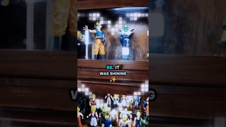 This SICK DBZ Figure Display