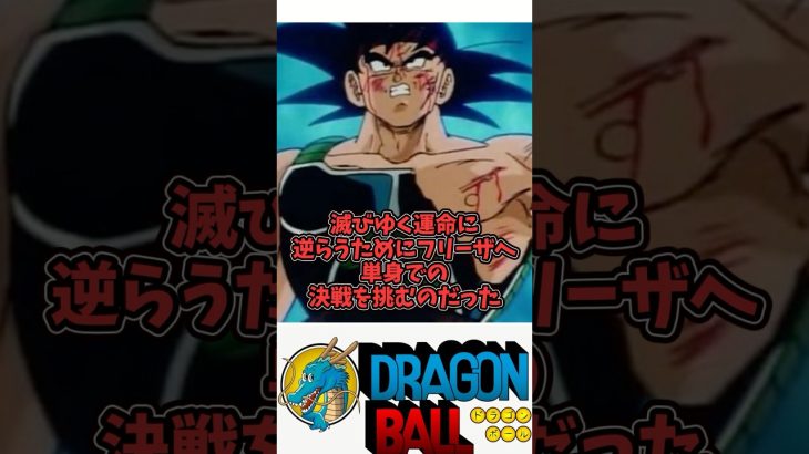【バーダック(ドラゴンボールZ)】ドラゴンボール徹底解説①