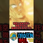 【バーダック(ドラゴンボールZ)】ドラゴンボール徹底解説②