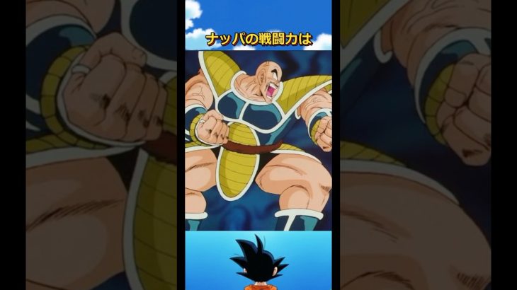 ナッパの意外と知らない雑学#ドラゴンボール #dragonball #ベジータ#ピッコロ #悟空#ヤムチャ