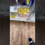 最高額フィギュア探してたらエグいの見つけた… #dragonball  #ドラゴンボール  #shorts  #short  #フィギュア