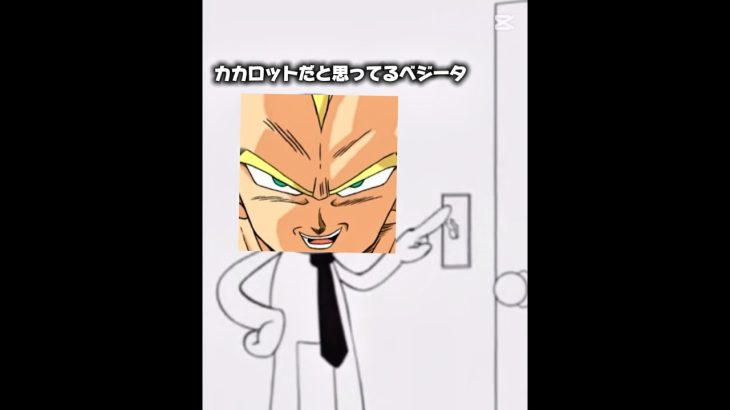 後で血祭りタイム喰らう男 #ブロリーmad #ドラゴンボール #memes #テンプレ使用