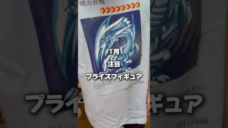 #アニメ #アニメtシャツ #フィギュア #遊戯王 #ドラゴンボール