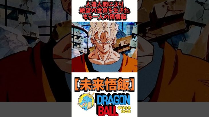 【未来悟飯】ドラゴンボール徹底解説
