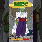 【ドラゴンボール】ピッコロさんのあの衣装って…