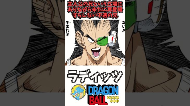 【孫悟空の兄・ラディッツ】ドラゴンボール徹底解説