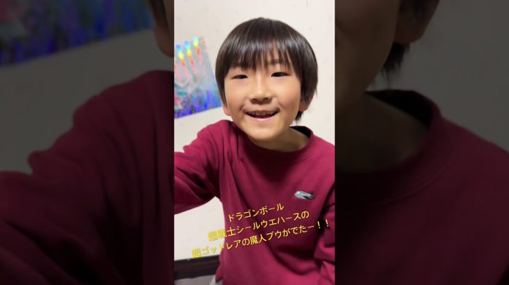 魔人ブウ出たーーー！！！#ドラゴンボール超戦士シールウエハース#超ゴッドレア#魔人ブウ