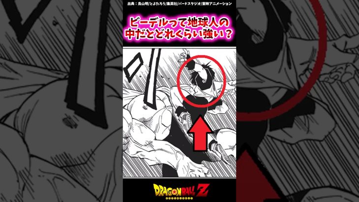 ビーデルって地球人の中だとどのくらい強い？【ドラゴンボール反応集】#ドラゴンボール #ビーデル