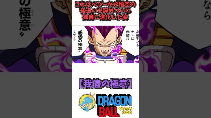 【ベジータ・我儘の極意】ドラゴンボール徹底解説