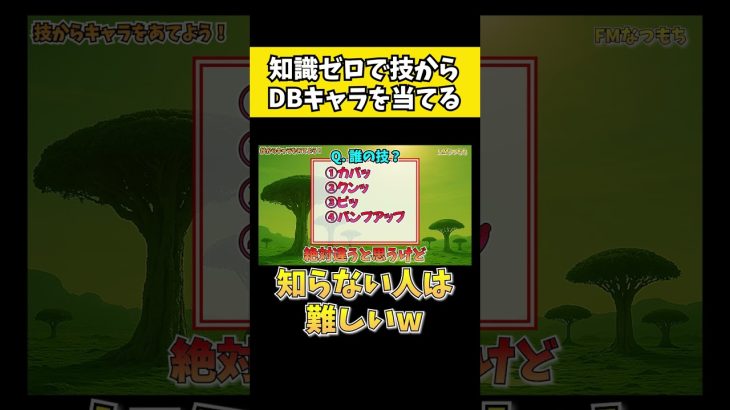 カパッだけでわかった人いるかな?-ドラゴンボール知らない人が技名だけでキャラを当てるクイズが予想外すぎたww