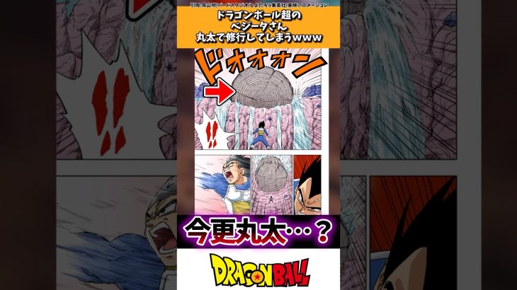 ドラゴンボール超のベジータさん丸太で修行してしまうwww