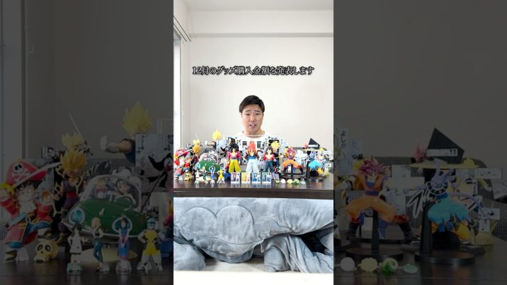 12月グッズ購入金額 #ドラゴンボール #オタ活