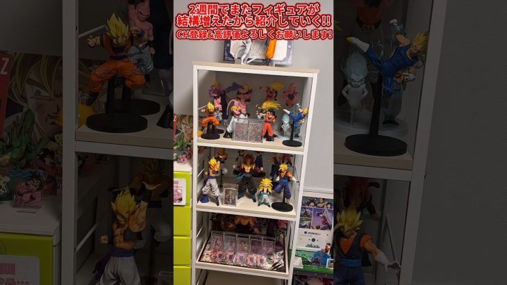【ドラゴンボールフィギュア】2週間でまた結構フィギュア増えたから紹介していく！！