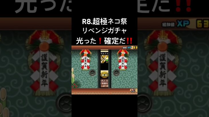 【超極ネコ祭ガチャ】　超激レア確定　光った⚡️ やったー❗️令和8年リベンジ