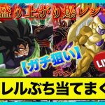 【8弾開幕】パラレルとSEC狙って爆レンコするぞ！過去最高の神弾になるか！？