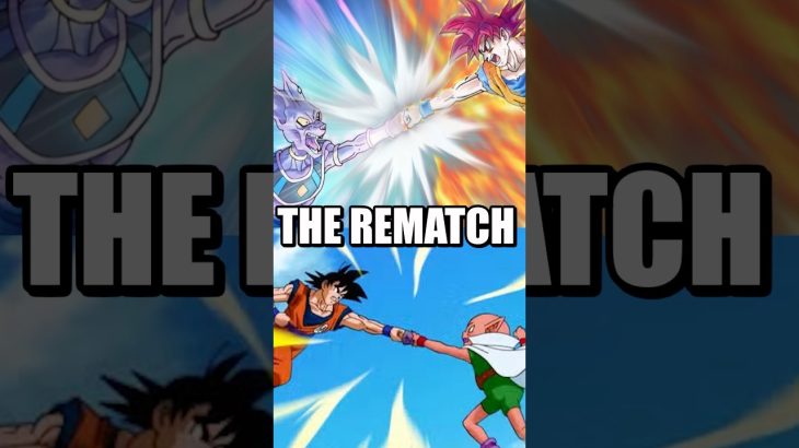 The Goku VS Beerus REMATCH