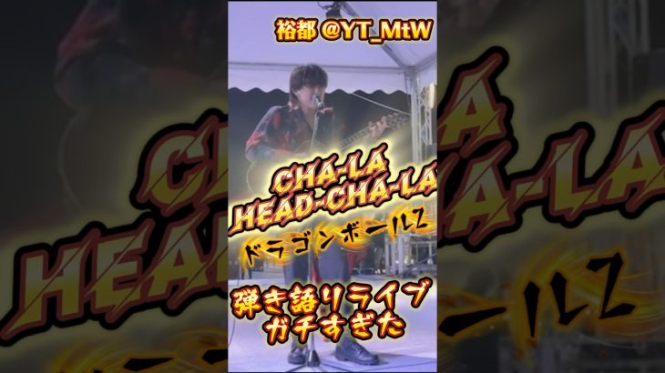ドラゴンボールZ CHA-LA HEAD-CHA-LA ガチ弾き語りカバーライブat上野恩賜公園(酒屋角打ちフェス) #ドラゴンボール #DRAGONBALL #影山ヒロノブ #弾き語り #アニソン