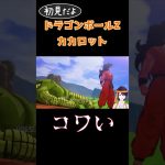 ヤムチャすな！！！　#ドラゴンボール  #ドラゴンボールZカカロット  #shorts