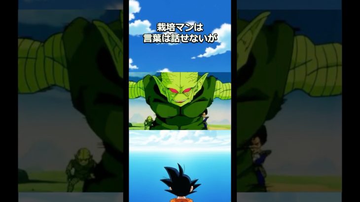 栽培マンは実は貴重な戦士だった！#ドラゴンボール #dragonball #goku #ベジータ #ヤムチャ#ナッパ