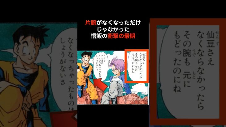 【衝撃】未来悟飯の“没案”が悲惨すぎた…片腕どころじゃない最期#ドラゴンボール #悟飯 #トランクス #鳥山明 #考察 #アニメ雑学 #shorts