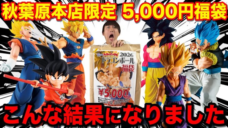 【福袋】ドラゴンボール ！秋葉原の本店で手に入れた限定福袋！理想と現実を味わう事ができました。｜一番くじ、一番賞、ドラゴンボール