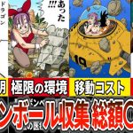 徹底検証！！もし現代でドラゴンボールを捜索したら…