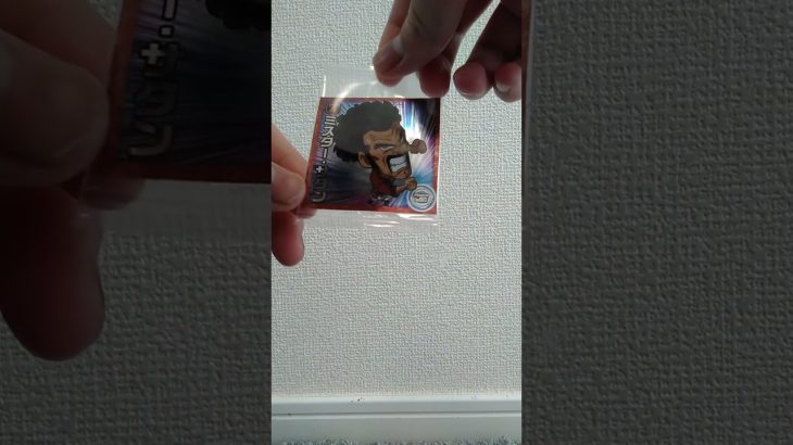 ドラゴンボール　超戦士シールウエハース超　融合と合体の超越者