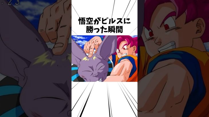 悟空がビルスに勝った瞬間#アニメ #ドラゴンボール #孫悟空