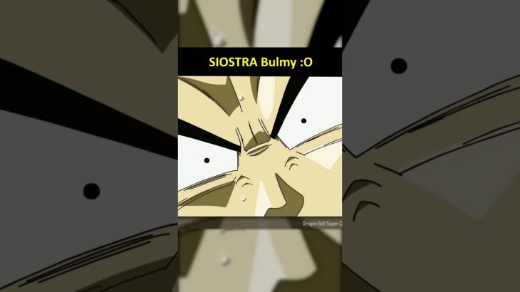 uwaga – SIOSTRA Bulmy  #dragonball