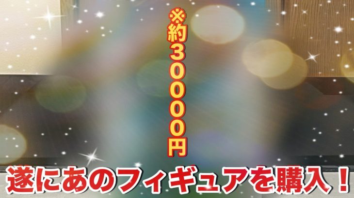 【ドラゴンボール】これが10年前のフィギュアのクオリティ?ずっと欲しかったあのフィギュアをついに購入しました!
