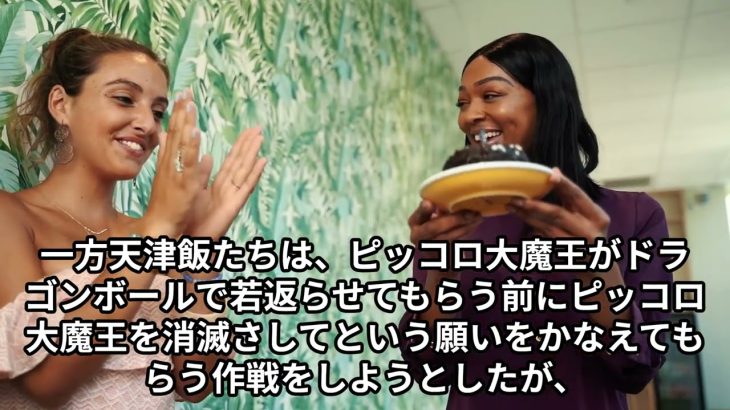 ドラゴンボール無印 ざっとあらすじ!(聞き流しOK)