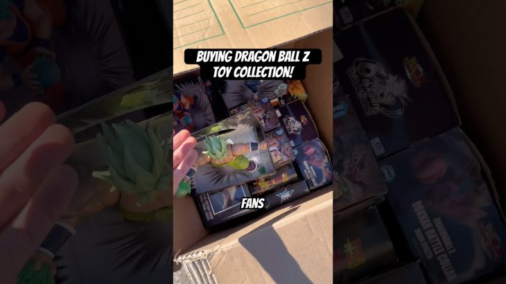This dude had over 100+ dragon ball z toys! #anime