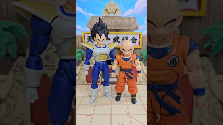 Vegeta y Krilin S.H. Figuarts de Dragon Ball ¿serán compatibles? #shfiguarts #dragonball #dbz #dbs