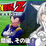 【ドラゴンボールZ : KAKAROT】#19　人造人間編後のインターバル　※ネタバレ注意【月葉チリン/フォニチリン】