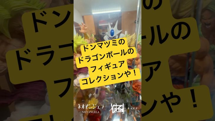 ドンマツミのドラゴンボールのフィギュアコレクションや!まだまだあるで! #ドンマツミ #ネオアンジェラ #ドラムボーカル #ドラゴンボール #フィギュア