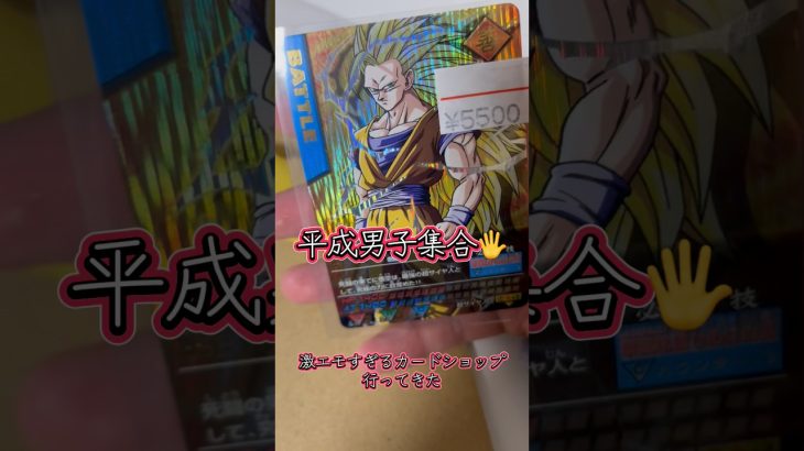 【平成男子集合】エモすぎるカードショップ行ってきた！ドラゴンボールデータカードダス、ムシキング、デュエマ等